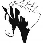 Hall Farm Stables logo